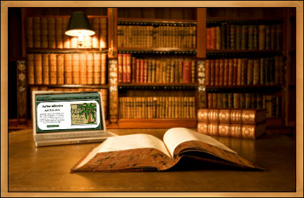 Fl Bar Exam Tested Subjects Aplus Ebooks Publications